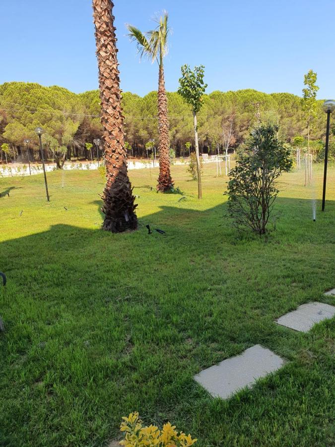 Amber Hotel Albania Spille Εξωτερικό φωτογραφία